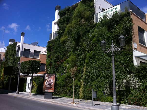 jardines-verticales-caseros