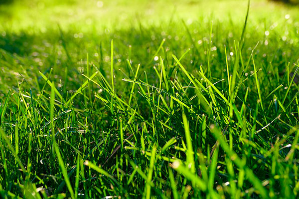 cesped artificial madrid