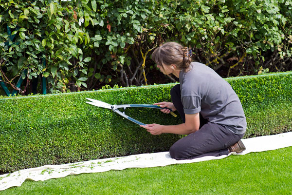 Mantenimiento de Jardines Madrid
