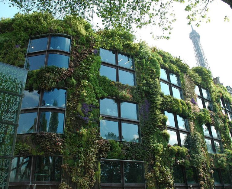 instalar un jardín vertical