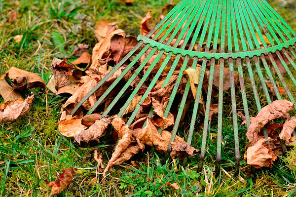 limpieza de jardines