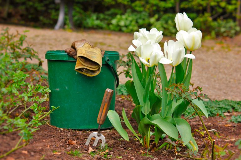 Herramientas de jardinería