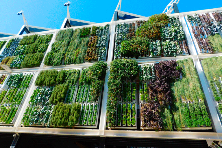 jardines verticales
