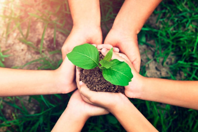 crear un jardín ecológico