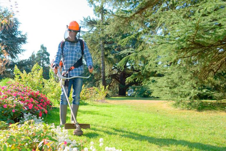 tendencias en el cuidado de jardines