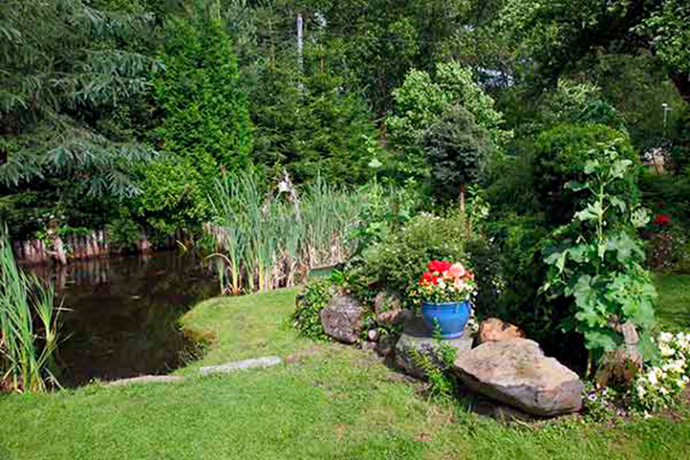 tener un jardín sano