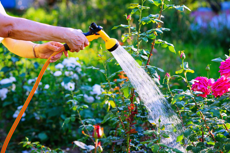 ahorrar agua en el jardín