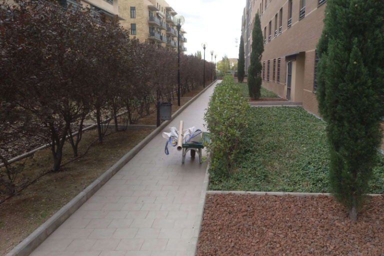 mantener el jardín durante el invierno