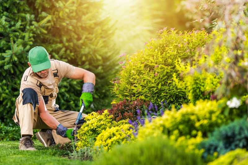 mantenimiento de jardines después del verano